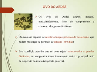  Os ovos do Aedes aegypti medem,
aproximadamente, 1mm de comprimento e
contorno alongado e fusiforme.
 Os ovos são capazes de resistir a longos períodos de dessecação, que
podem prolongar-se por mais de um ano (450 dias).
 Esta condição permite que os ovos sejam transportados a grandes
distâncias, em recipientes secos, tornando-se assim o principal meio
de dispersão do inseto (dispersão passiva).
 