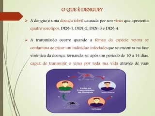  A dengue é uma doença febril causada por um vírus que apresenta
quatro sorotipos, DEN-1, DEN-2, DEN-3 e DEN-4.
 A transmissão ocorre quando a fêmea da espécie vetora se
contamina ao picar um indivíduo infectado que se encontra na fase
virêmica da doença, tornando-se, após um período de 10 a 14 dias,
capaz de transmitir o vírus por toda sua vida através de suas
 