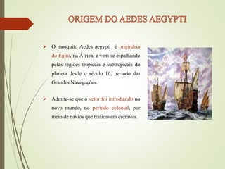  O mosquito Aedes aegypti é originário
do Egito, na África, e vem se espalhando
pelas regiões tropicais e subtropicais do
planeta desde o século 16, período das
Grandes Navegações.
 Admite-se que o vetor foi introduzido no
novo mundo, no período colonial, por
meio de navios que traficavam escravos.
 