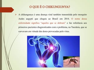  A chikungunya é uma doença viral também transmitida pelo mosquito
Aedes aegypti que chegou ao Brasil em 2014. O nome dessa
enfermidade significa “aqueles que se dobram” e faz referência aos
primeiros pacientes diagnosticados com o problema, na Tanzânia, que se
curvavam em virtude das dores provocadas pelo vírus.
 