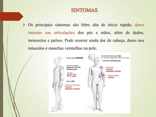  Os principais sintomas são febre alta de início rápido, dores
intensas nas articulações dos pés e mãos, além de dedos,
tornozelos e pulsos. Pode ocorrer ainda dor de cabeça, dores nos
músculos e manchas vermelhas na pele.
 