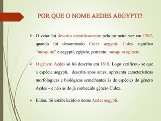  O vetor foi descrito cientificamente pela primeira vez em 1762,
quando foi denominado Culex aegypti. Culex significa
“mosquito” e aegypti, egípcio, portanto: mosquito egípcio.
 O gênero Aedes só foi descrito em 1818. Logo verificou- se que
a espécie aegypti, descrita anos antes, apresenta características
morfológicas e biológicas semelhantes às de espécies do gênero
Aedes – e não às do já conhecido gênero Culex.
 Então, foi estabelecido o nome Aedes aegypti.
 