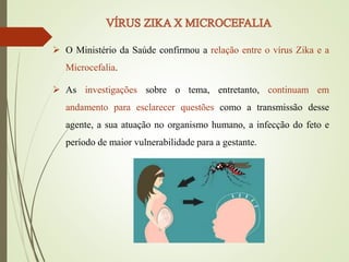  O Ministério da Saúde confirmou a relação entre o vírus Zika e a
Microcefalia.
 As investigações sobre o tema, entretanto, continuam em
andamento para esclarecer questões como a transmissão desse
agente, a sua atuação no organismo humano, a infecção do feto e
período de maior vulnerabilidade para a gestante.
 