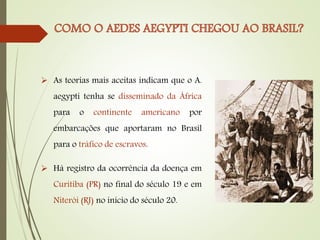  As teorias mais aceitas indicam que o A.
aegypti tenha se disseminado da África
para o continente americano por
embarcações que aportaram no Brasil
para o tráfico de escravos.
 Há registro da ocorrência da doença em
Curitiba (PR) no final do século 19 e em
Niterói (RJ) no início do século 20.
 