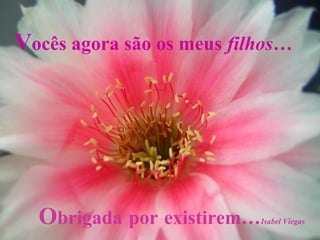 Vocês agora são os meus filhos…
Obrigada por existirem…Isabel Viegas
 