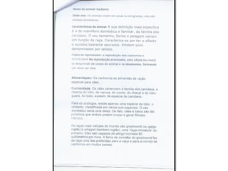 Trabalho sobre os animais