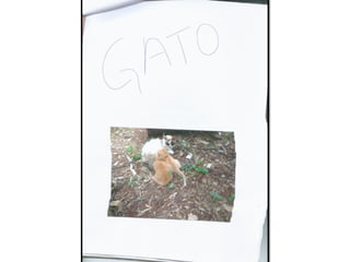 Trabalho sobre os animais