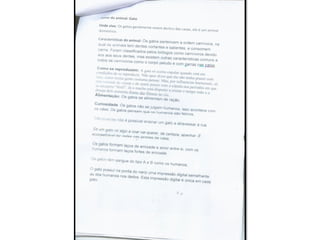 Trabalho sobre os animais