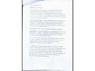 Trabalho sobre os animais