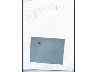 Trabalho sobre os animais