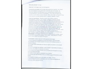 Trabalho sobre os animais