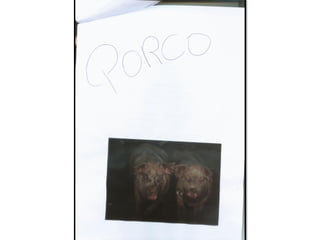 Trabalho sobre os animais