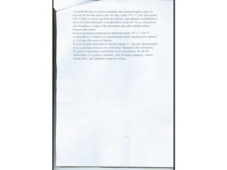 Trabalho sobre os animais