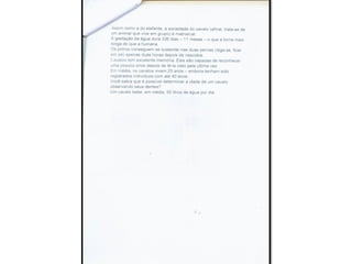 Trabalho sobre os animais