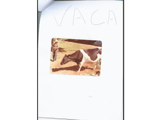 Trabalho sobre os animais