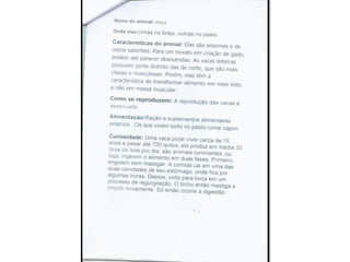 Trabalho sobre os animais