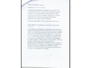 Trabalho sobre os animais