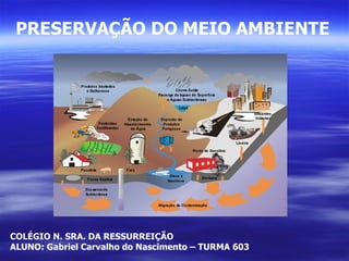 PRESERVAÇÃO DO MEIO AMBIENTE COLÉGIO N. SRA. DA RESSURREIÇÃO ALUNO: Gabriel Carvalho do Nascimento – TURMA 603 