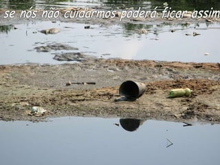 se nós não cuidarmos poderá ficar assim 