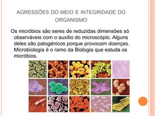 AGRESSÕES DO MEIO E INTEGRIDADE DO
             ORGANISMO

Os micróbios são seres de reduzidas dimensões só
 observáveis com o auxílio do microscópio. Alguns
 deles são patogénicos porque provocam doenças.
 Microbiologia é o ramo da Biologia que estuda os
 micróbios.
 