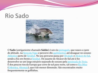 Rio Sado



O Sado (antigamente chamado Sádão) é um rio português, que nasce a 230m
de altitude, na Serra da Vigia e percorre 180 quilómetros até desaguar no oceano
Atlântico perto de Setúbal. No seu percurso passa por Alvalade e Alcácer do Sal,
sendo a foz em frente a Setúbal. De jusante de Alcácer do Sal até à foz
desenvolve-se um largo estuário separado do oceano pela península de Troia.
É dos poucos rios da Europa que corre de sul para norte, tal como o Rio Mira
(Odemira, Alentejo), que é de menor dimensão. São encontrados muito
frequentemente os golfinhos.
 
