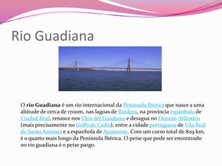 Rio Guadiana



 O rio Guadiana é um rio internacional da Península Ibérica que nasce a uma
 altitude de cerca de 1700m, nas lagoas de Ruidera, na província espanhola de
 Ciudad Real, renasce nos Ojos del Guadiana e desagua no Oceano Atlântico
 (mais precisamente no Golfo de Cádis), entre a cidade portuguesa de Vila Real
 de Santo António e a espanhola de Ayamonte. Com um curso total de 829 km,
 é o quarto mais longo da Península Ibérica. O peixe que pode ser encontrado
 no rio guadiana é o peixe pargo.
 