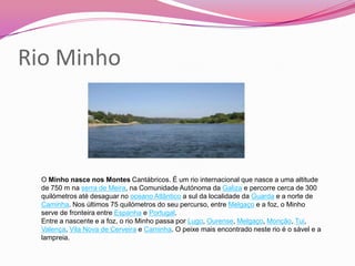 Rio Minho



  O Minho nasce nos Montes Cantábricos. É um rio internacional que nasce a uma altitude
  de 750 m na serra de Meira, na Comunidade Autónoma da Galiza e percorre cerca de 300
  quilómetros até desaguar no oceano Atlântico a sul da localidade da Guarda e a norte de
  Caminha. Nos últimos 75 quilómetros do seu percurso, entre Melgaço e a foz, o Minho
  serve de fronteira entre Espanha e Portugal.
  Entre a nascente e a foz, o rio Minho passa por Lugo, Ourense, Melgaço, Monção, Tui,
  Valença, Vila Nova de Cerveira e Caminha. O peixe mais encontrado neste rio é o sável e a
  lampreia.
 