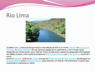 Rio Lima



O Lima é um rio internacional que nasce a uma altitude de 975 m no monte Talariño, na província de
Ourense, na Galiza, Espanha. No seu percurso galego de 41 quilómetros, o rio é muitas vezes
designado por nomes locais, como Talariño, Freixo ou Mourenzo, apesar da designação oficial galega
ser Limia; aí passa, entre outras povoações da província de Ourense, por Xinzo de Limia, à qual dá o
nome.
Entra em Portugal, próximo do Lindoso e passa por Ponte da Barca e Ponte de Lima, até desaguar no
Oceano Atlântico junto a Viana do Castelo, após percorrer um total de 135 quilómetros. O peixe mais
encontrado é a lampreia e o sável.
 