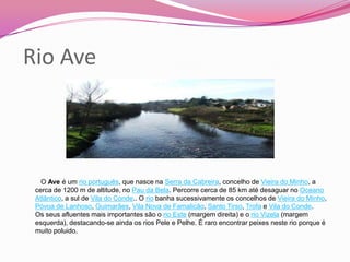 Rio Ave



   O Ave é um rio português, que nasce na Serra da Cabreira, concelho de Vieira do Minho, a
 cerca de 1200 m de altitude, no Pau da Bela. Percorre cerca de 85 km até desaguar no Oceano
 Atlântico, a sul de Vila do Conde.. O rio banha sucessivamente os concelhos de Vieira do Minho,
 Póvoa de Lanhoso, Guimarães, Vila Nova de Famalicão, Santo Tirso, Trofa e Vila do Conde.
 Os seus afluentes mais importantes são o rio Este (margem direita) e o rio Vizela (margem
 esquerda), destacando-se ainda os rios Pele e Pelhe. É raro encontrar peixes neste rio porque é
 muito poluido.
 