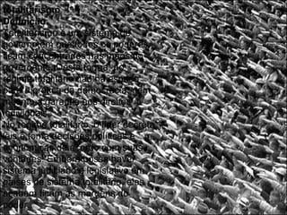 totalitarismo
Definição:
Totalitarismo é um sistema de
governo em que todos os poderes
ficam concentrados nas mãos do
governante. Desta forma, no
regime totalitário não há espaço
para a prática da democracia, nem
mesmo a garantia aos direitos
individuais.
No regime totalitário, o líder decreta
leis e toma decisões políticas e
econômicas de acordo com suas
vontades. Embora possa haver
sistema judiciário e legislativo em
países de sistema totalitário, eles
acabam ficam às margens do
poder.
 