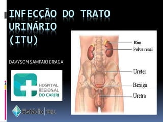 INFECÇÃO DO TRATO
URINÁRIO
(ITU)
DAVYSON SAMPAIO BRAGA
 