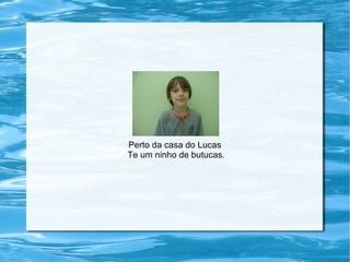 Perto da casa do Lucas
Te um ninho de butucas.
 