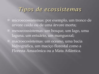 microecossistemas: por exemplo, um tronco de árvore caído ou de uma árvore morta;  mesoecossistemas: um bosque, um lago, uma laguna, um estuário, um manguezal;  macroecosistemas: um oceano, uma bacia hidrográfica, um maciço florestal como a Floresta Amazônica ou a Mata Atlântica. 