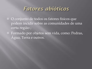 O conjunto de todos os fatores físicos que podem incidir sobre as comunidades de uma certa região ; Formado por objetos sem vida, como: Pedras, Água, Terra e outros. 