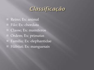 Reino; Ex: animal  Filo; Ex: chordata Classe; Ex: mamíferos Ordem; Ex: primatas Família; Ex: elephantidae Hábitat; Ex: manguesais  