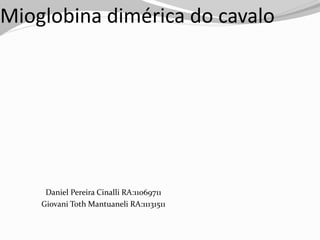 Mioglobina dimérica do cavalo




     Daniel Pereira Cinalli RA:11069711
    Giovani Toth Mantuaneli RA:11131511
 