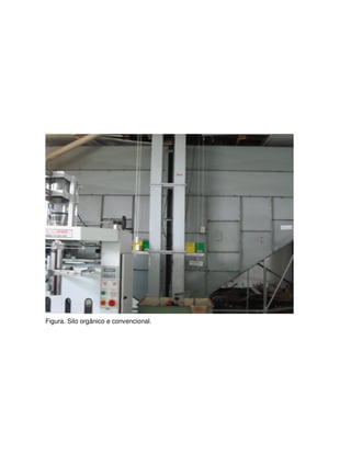 Figura. Silo orgânico e convencional.
 