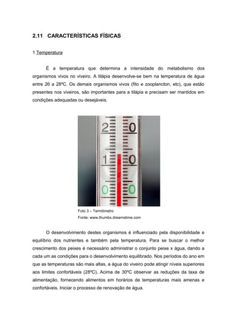2.11 CARACTERÍSTICAS FÍSICAS


1 Temperatura


      É a temperatura que determina a intensidade do metabolismo dos
organismos vivos no viveiro. A tilápia desenvolve-se bem na temperatura de água
entre 26 a 28ºC. Os demais organismos vivos (fito e zooplancton, etc), que estão
presentes nos viveiros, são importantes para a tilápia e precisam ser mantidos em
condições adequadas ou desejáveis.




                      Foto 3 – Termômetro
                      Fonte: www.thumbs.dreamstime.com


      O desenvolvimento destes organismos é influenciado pela disponibilidade e
equilíbrio dos nutrientes e também pela temperatura. Para se buscar o melhor
crescimento dos peixes é necessário administrar o conjunto peixe x água, dando a
cada um as condições para o desenvolvimento equilibrado. Nos períodos do ano em
que as temperaturas são mais altas, a água do viveiro pode atingir níveis superiores
aos limites confortáveis (28ºC). Acima de 30ºC observar as reduções da taxa de
alimentação, fornecendo alimentos em horários de temperaturas mais amenas e
confortáveis. Iniciar o processo de renovação de água.
 