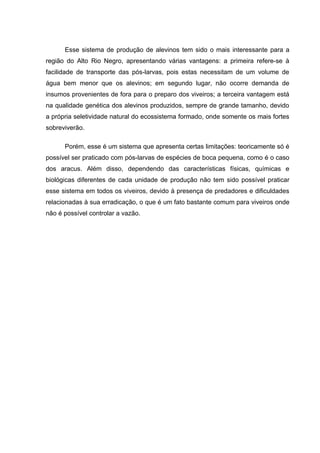 Esse sistema de produção de alevinos tem sido o mais interessante para a
região do Alto Rio Negro, apresentando várias vantagens: a primeira refere-se à
facilidade de transporte das pós-larvas, pois estas necessitam de um volume de
água bem menor que os alevinos; em segundo lugar, não ocorre demanda de
insumos provenientes de fora para o preparo dos viveiros; a terceira vantagem está
na qualidade genética dos alevinos produzidos, sempre de grande tamanho, devido
a própria seletividade natural do ecossistema formado, onde somente os mais fortes
sobreviverão.

      Porém, esse é um sistema que apresenta certas limitações: teoricamente só é
possível ser praticado com pós-larvas de espécies de boca pequena, como é o caso
dos aracus. Além disso, dependendo das características físicas, químicas e
biológicas diferentes de cada unidade de produção não tem sido possível praticar
esse sistema em todos os viveiros, devido à presença de predadores e dificuldades
relacionadas à sua erradicação, o que é um fato bastante comum para viveiros onde
não é possível controlar a vazão.
 