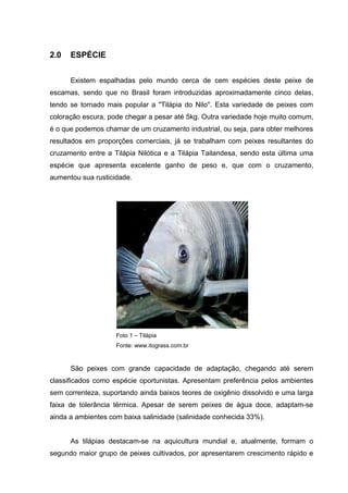 2.0   ESPÉCIE


      Existem espalhadas pelo mundo cerca de cem espécies deste peixe de
escamas, sendo que no Brasil foram introduzidas aproximadamente cinco delas,
tendo se tornado mais popular a "Tilápia do Nilo". Esta variedade de peixes com
coloração escura, pode chegar a pesar até 5kg. Outra variedade hoje muito comum,
é o que podemos chamar de um cruzamento industrial, ou seja, para obter melhores
resultados em proporções comerciais, já se trabalham com peixes resultantes do
cruzamento entre a Tilápia Nilótica e a Tilápia Tailandesa, sendo esta última uma
espécie que apresenta excelente ganho de peso e, que com o cruzamento,
aumentou sua rusticidade.




                    Foto 1 – Tilápia
                    Fonte: www.itograss.com.br


      São peixes com grande capacidade de adaptação, chegando até serem
classificados como espécie oportunistas. Apresentam preferência pelos ambientes
sem correnteza, suportando ainda baixos teores de oxigênio dissolvido e uma larga
faixa de tolerância térmica. Apesar de serem peixes de água doce, adaptam-se
ainda a ambientes com baixa salinidade (salinidade conhecida 33%).


      As tilápias destacam-se na aquicultura mundial e, atualmente, formam o
segundo maior grupo de peixes cultivados, por apresentarem crescimento rápido e
 