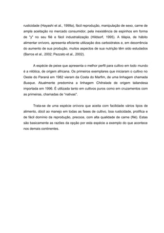rusticidade (Hayashi et al., 1999a), fácil reprodução, manipulação de sexo, carne de
ampla aceitação no mercado consumidor, pela inexistência de espinhos em forma
de "y" no seu filé e fácil industrialização (Hildsorf, 1995). A tilápia, de hábito
alimentar onívoro, apresenta eficiente utilização dos carboidratos e, em decorrência
do aumento de sua produção, muitos aspectos de sua nutrição têm sido estudados
(Barros et al., 2002; Pezzato et al., 2002).


       A espécie de peixe que apresenta o melhor perfil para cultivo em todo mundo
é a nilótica, de origem africana. Os primeiros exemplares que iniciaram o cultivo no
Oeste do Paraná em 1982 vieram da Costa do Marfim, de uma linhagem chamada
Buaque. Atualmente predomina a linhagem Chitralada de origem tailandesa
importada em 1996. É utilizada tanto em cultivos puros como em cruzamentos com
as primeiras, chamadas de “nativas".


       Trata-se de uma espécie onívora que aceita com facilidade vários tipos de
alimento, dócil ao manejo em todas as fases de cultivo, boa rusticidade, prolífica e
de fácil domínio da reprodução, precoce, com alta qualidade de carne (filé). Estas
são basicamente as razões da opção por esta espécie a exemplo do que acontece
nos demais continentes.
 
