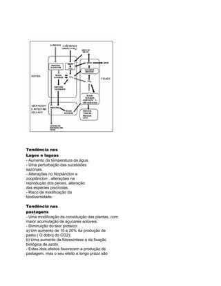 Tendência nos
Lagos e lagoas
- Aumento da temperatura da água.
- Uma perturbação das sucessões
sazonais.
- Alterações no fitoplâncton e
zooplâncton , alterações na
reprodução dos peixes, alteração
das espécies piscícolas.
- Risco de modificação da
biodiversidade.

Tendência nas
pastagens
- Uma modificação da constituição das plantas, com
maior acumulação de açucares solúveis.
- Diminuição do teor proteico:
a) Um aumento de 10 a 20% da produção de
pasto ( O dobro do CO2);
b) Uma aumento da fotossíntese e da fixação
biológica de azoto.
- Estes dois efeitos favorecem a produção de
pastagem, mas o seu efeito a longo prazo são
 