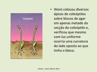 • Went colocou diversos
ápices de coleóptilos
sobre blocos de agar
em apenas metade da
secção do coleóptilo e,
verificou que mesmo
com luz uniforme
ocorria uma curvatura
do lado oposto ao que
tinha o bloco.
Janaina , Joyce, Marcel, Silvia
 