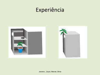 Experiência
Janaina , Joyce, Marcel, Silvia
 