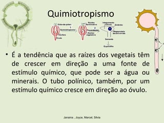 Quimiotropismo
• É a tendência que as raízes dos vegetais têm
de crescer em direção a uma fonte de
estímulo químico, que pode ser a água ou
minerais. O tubo polínico, também, por um
estímulo químico cresce em direção ao óvulo.
Janaina , Joyce, Marcel, Silvia
 