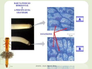 Janaina , Joyce, Marcel, Silvia
 