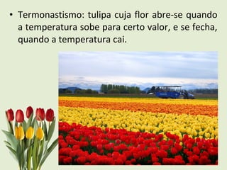 • Termonastismo: tulipa cuja flor abre-se quando
a temperatura sobe para certo valor, e se fecha,
quando a temperatura cai.
Janaina , Joice, Marcel, Silvia
 