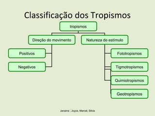 Classificação dos Tropismos
Janaina , Joyce, Marcel, Silvia
tropismos
Direção do movimento Natureza do estímulo
Positivos
Negativos
Fototropismos
Tigmotropismos
Quimiotropismos
Geotropismos
 