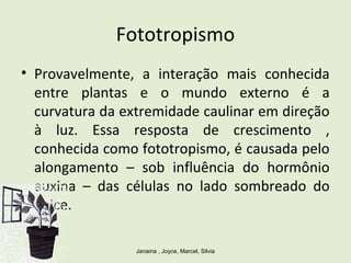 Fototropismo
• Provavelmente, a interação mais conhecida
entre plantas e o mundo externo é a
curvatura da extremidade caulinar em direção
à luz. Essa resposta de crescimento ,
conhecida como fototropismo, é causada pelo
alongamento – sob influência do hormônio
auxina – das células no lado sombreado do
ápice.
Janaina , Joyce, Marcel, Silvia
 
