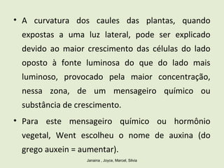 • A curvatura dos caules das plantas, quando
expostas a uma luz lateral, pode ser explicado
devido ao maior crescimento das células do lado
oposto à fonte luminosa do que do lado mais
luminoso, provocado pela maior concentração,
nessa zona, de um mensageiro químico ou
substância de crescimento.
• Para este mensageiro químico ou hormônio
vegetal, Went escolheu o nome de auxina (do
grego auxein = aumentar).
Janaina , Joyce, Marcel, Silvia
 